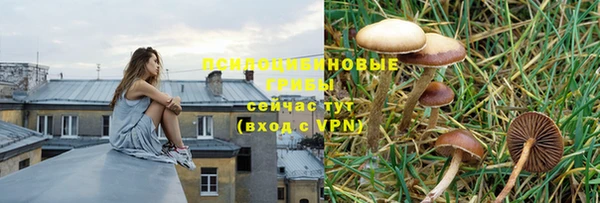 экстази Алексеевка